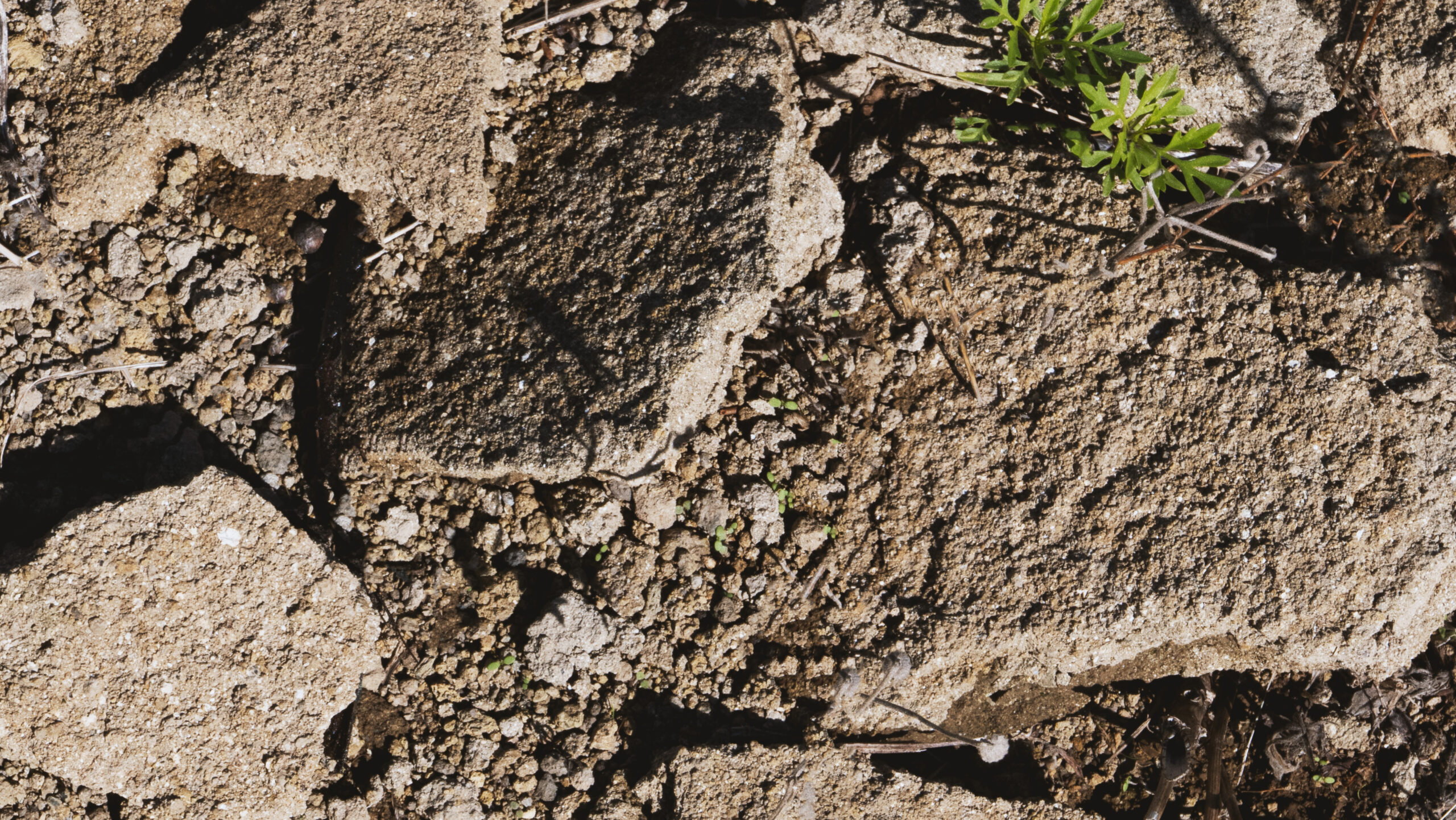 atto_terroir_07 - Atto