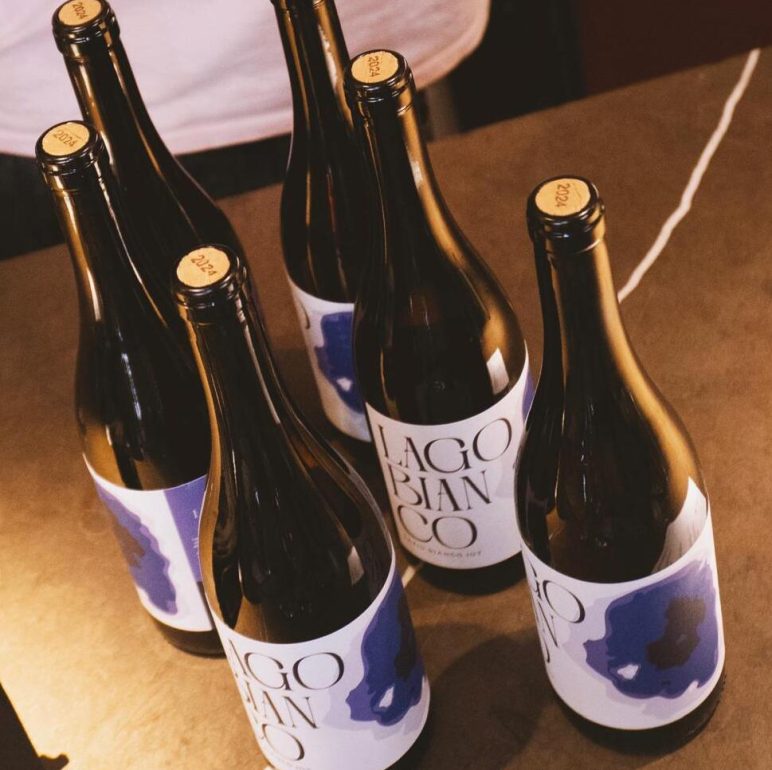 Six wine bottles with white labels featuring blue abstract shapes, arranged on a brown countertop.