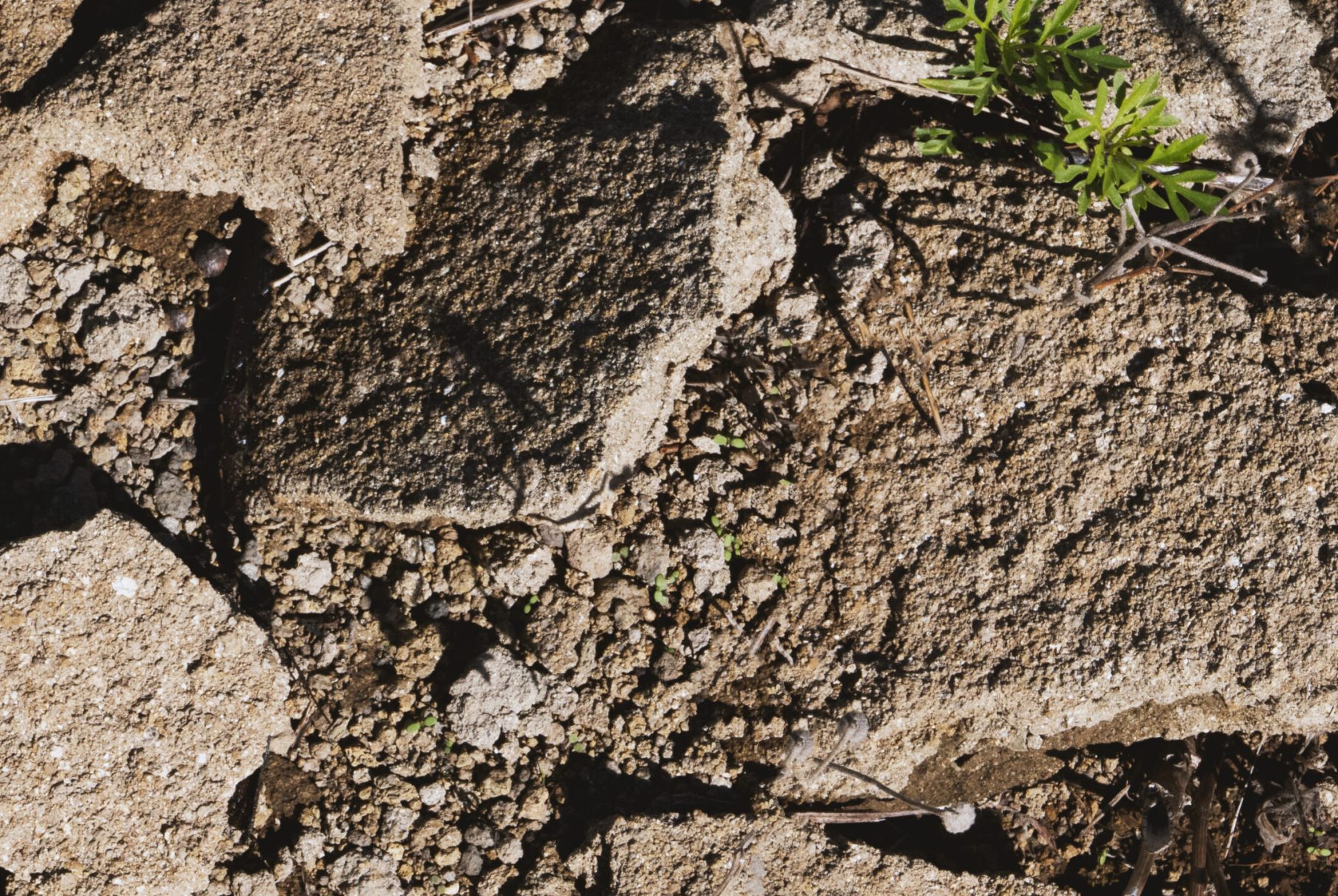 atto_terroir_07-scaled.jpg atto_terroir_07-scaled.jpg